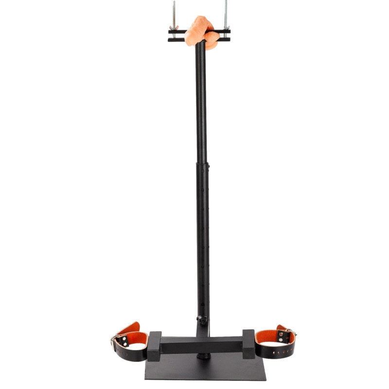 Sm Torture Abnormal Training Penis Penis Restraint Sex Toys Punishment Bdsm Toys Sex Tools for Couples Adult Sex Toys  Furniture - buysextoyth