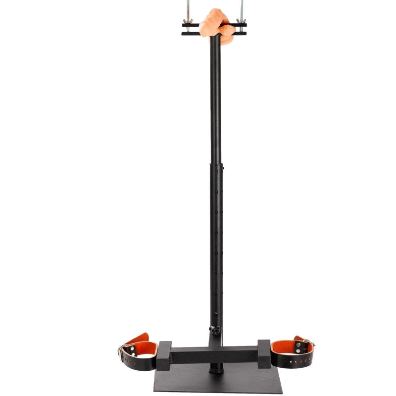 Sm Torture Abnormal Training Penis Penis Restraint Sex Toys Punishment Bdsm Toys Sex Tools for Couples Adult Sex Toys  Furniture - buysextoyth