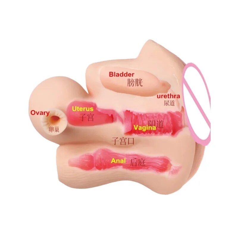 ชายนุ่มมดลูก Masturbator ช่องคลอดถ้วยจริงรุ่นหญิงจริงช่องคลอดสำหรับผู้ชาย Anal Sex ลึกมดลูก Sex ต่อมลูกหมากกระตุ้น sextoy - buysextoyth