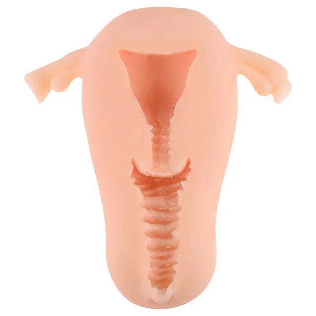 ชายนุ่มมดลูก Masturbator ช่องคลอดถ้วยจริงรุ่นหญิงจริงช่องคลอดสำหรับผู้ชาย Anal Sex ลึกมดลูก Sex ต่อมลูกหมากกระตุ้น sextoy - buysextoyth