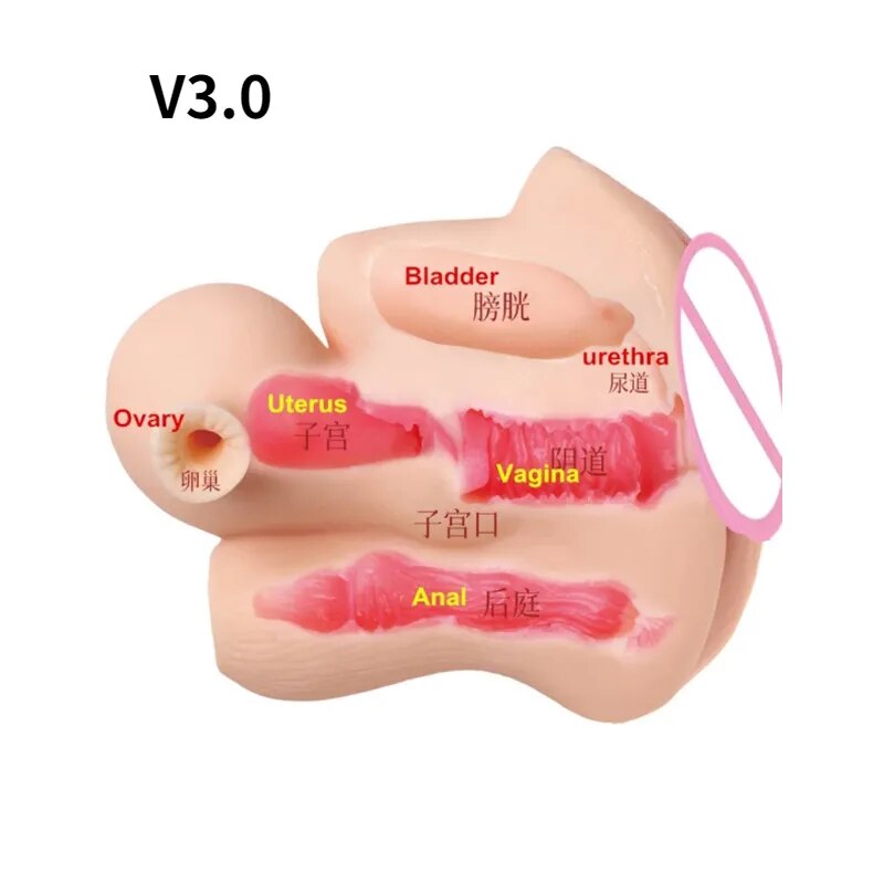 ชายนุ่มมดลูก Masturbator ช่องคลอดถ้วยจริงรุ่นหญิงจริงช่องคลอดสำหรับผู้ชาย Anal Sex ลึกมดลูก Sex ต่อมลูกหมากกระตุ้น sextoy - buysextoyth
