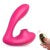 Tracy's Dog New Pro 2 Clitori Sucking Vibrator with Remote Control Function Purple and Pink Optional Female Vibrator Sex Toy - buysextoyth